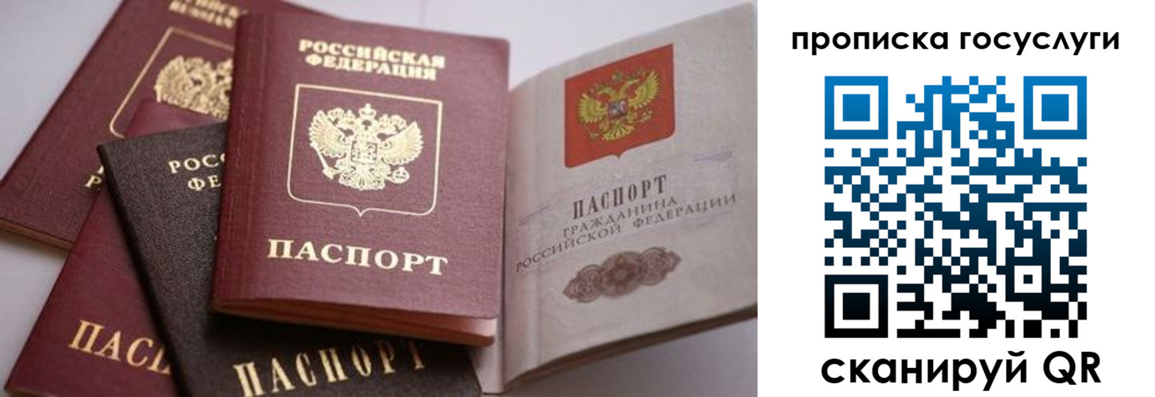 прописка иностранных граждан в Оленегорске